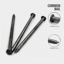 Factory Supply Factory Price of Q195 Common Nail